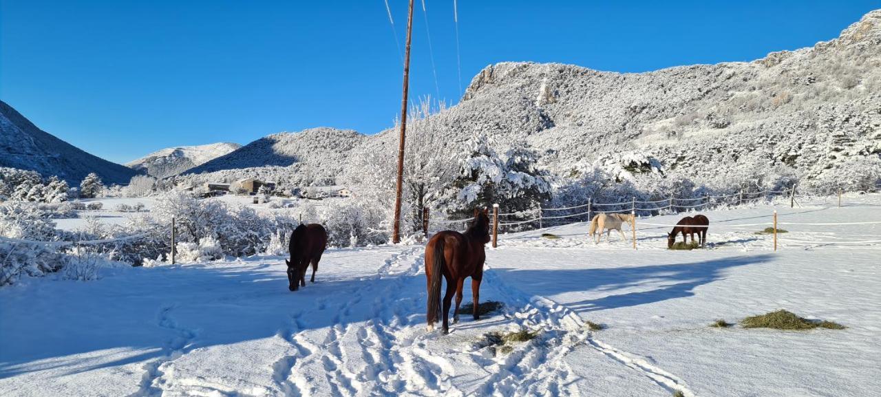 Haras De Seranon Villa Eksteriør bilde